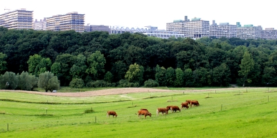 Umzug Bochum / Umzugsunternehmen Bochum